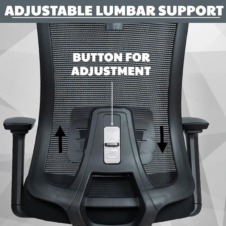 EP1009 Cushion Chair - Ergonomic Orthopaedic Premium Office & Work Chair