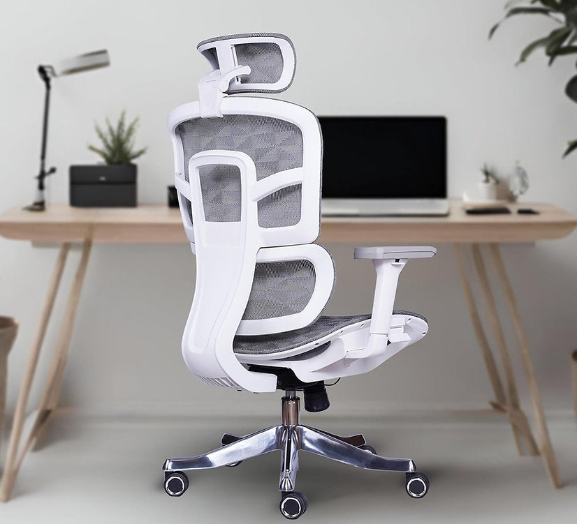 EP1006 Mesh Chair - Ergonomic Premium Mesh Office & Work Chair