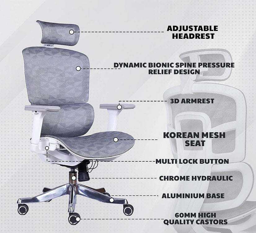 EP1006 Mesh Chair - Ergonomic Premium Mesh Office & Work Chair