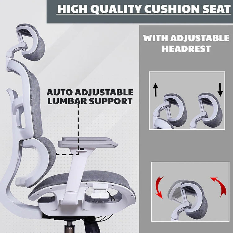 EP1006 Mesh Chair - Ergonomic Premium Mesh Office & Work Chair