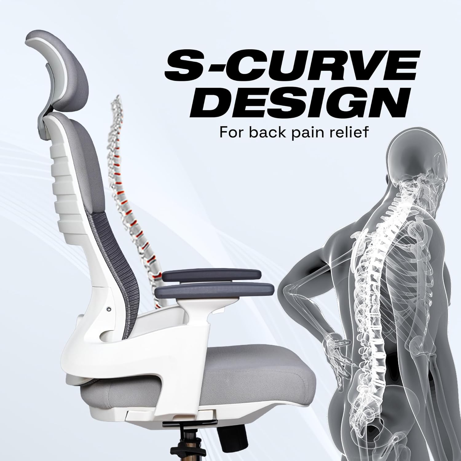 EP1011 Cushion Chair - Ergonomic Orthopaedic Premium Office & Work Chair