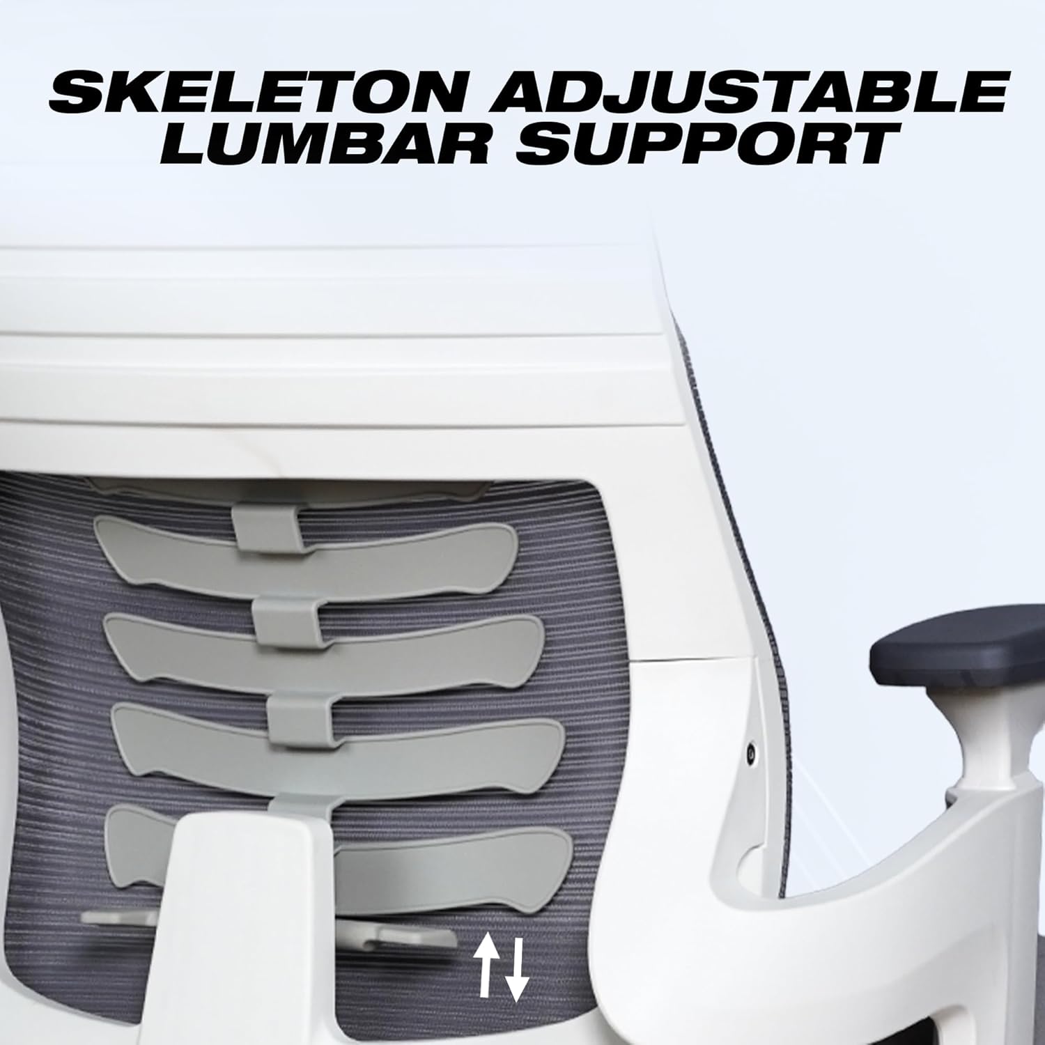 EP1011 Cushion Chair - Ergonomic Orthopaedic Premium Office & Work Chair