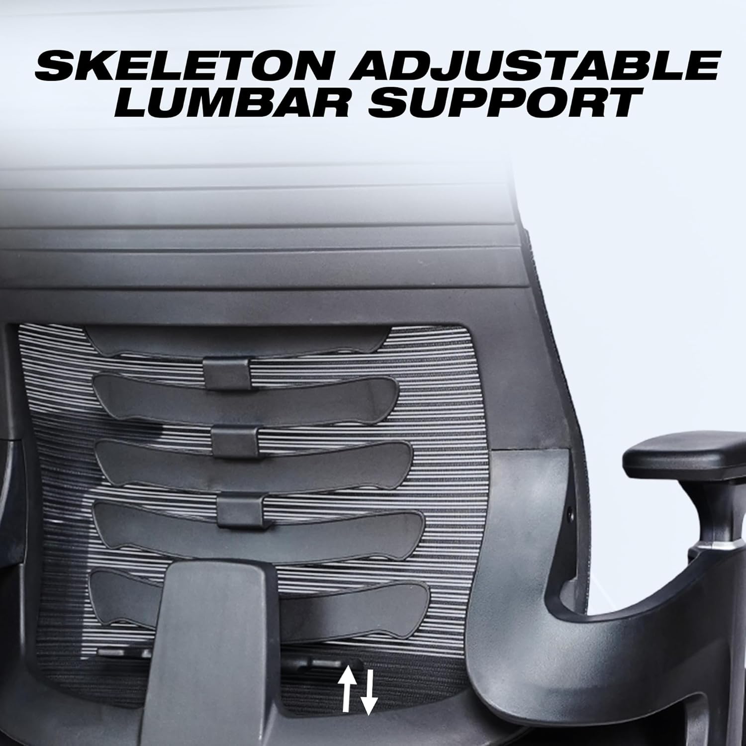 EP1011 Cushion Chair - Ergonomic Orthopaedic Premium Office & Work Chair