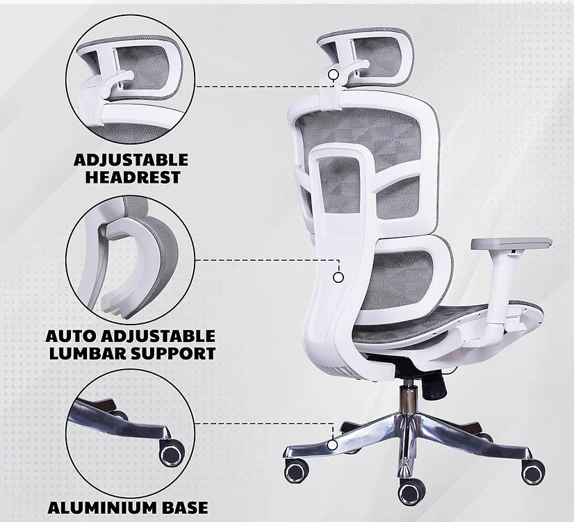 EP1006 Mesh Chair - Ergonomic Premium Mesh Office & Work Chair