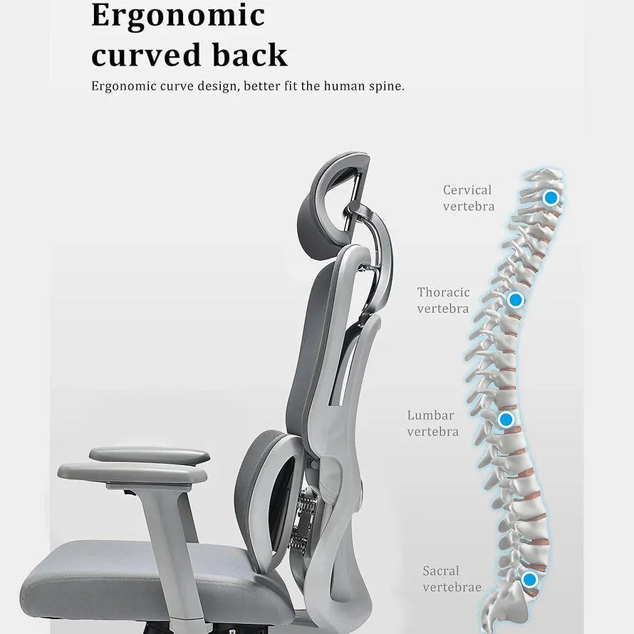 EP1007 Cushion Chair - Ergonomic Orthopaedic Premium Office & Work Chair