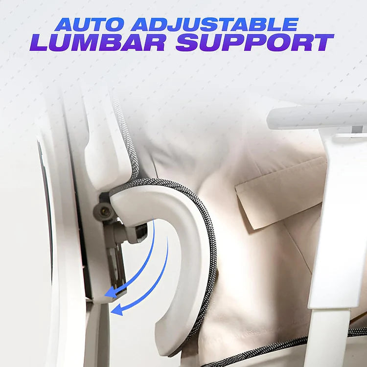 EP1002 Cushion Chair - Ergonomic Premium Mesh Office & Work Chair