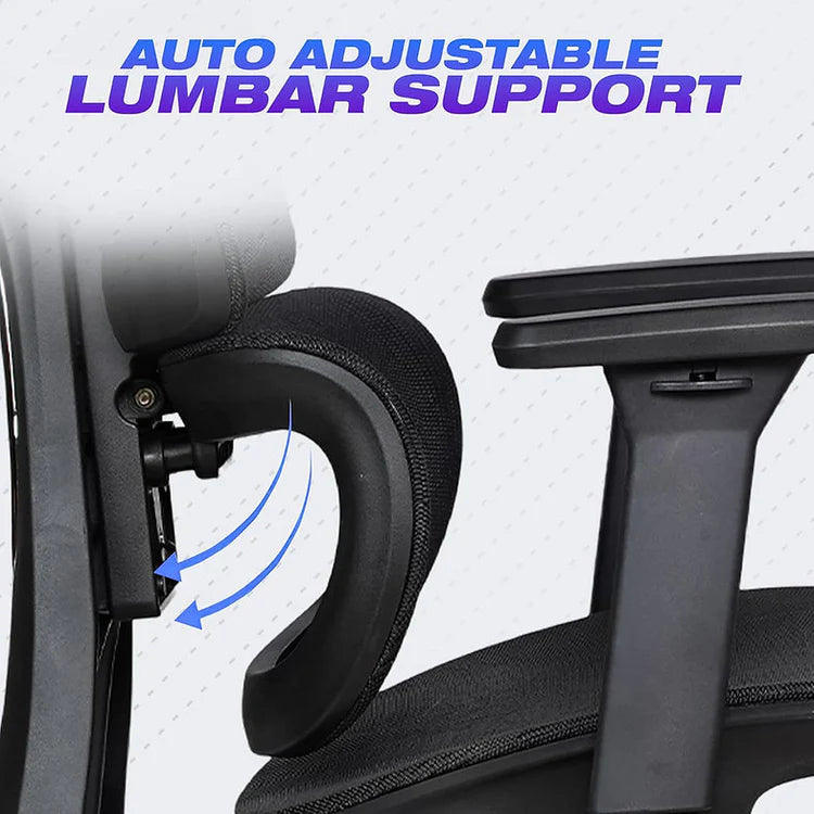 EP1002 Mesh Chair - Ergonomic Premium Mesh Office & Work Chair