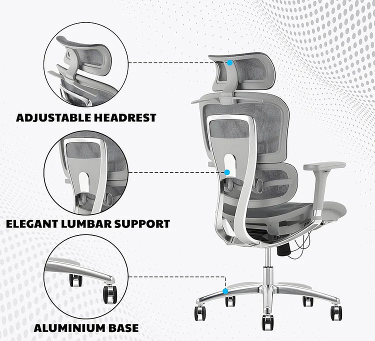 EP1003 Mesh Chair - Ergonomic Premium Mesh Office & Work Chair