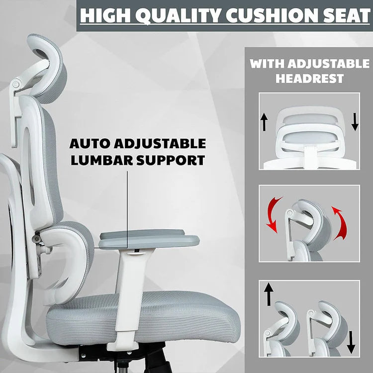 EP1002 Cushion Chair - Ergonomic Premium Mesh Office & Work Chair
