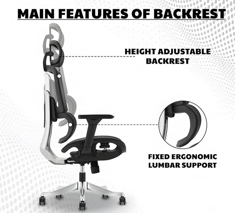 EP1012 Mesh Chair - Ergonomic Premium Mesh Office & Work Chair