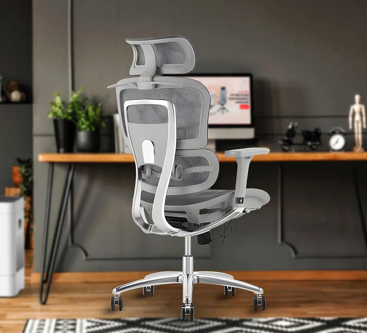 EP1003 Mesh Chair - Ergonomic Premium Mesh Office & Work Chair